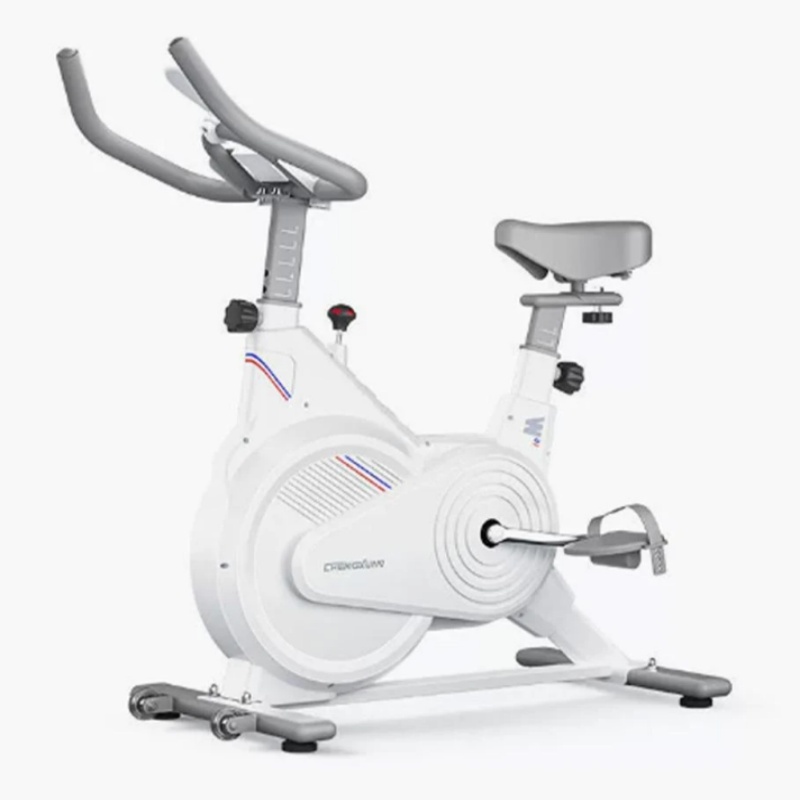 Home Gym Technogym - Stacjonarny rower spinningowy do użytku domowego,
